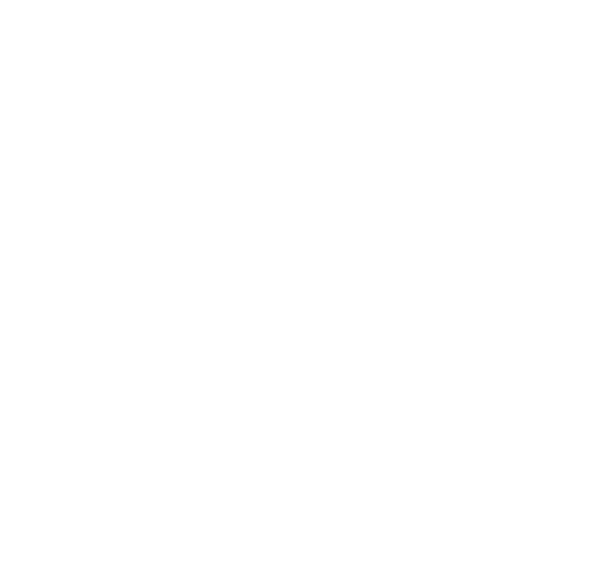P.Porto Logo