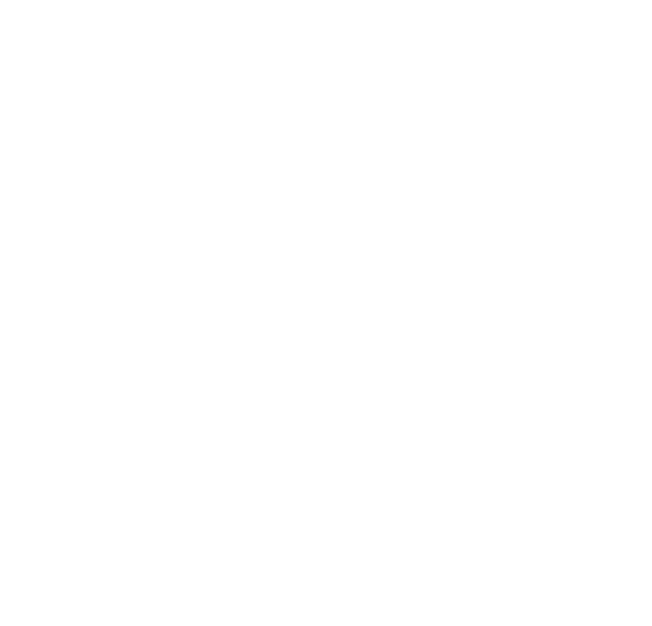 Portuguese Women In Tech Logo