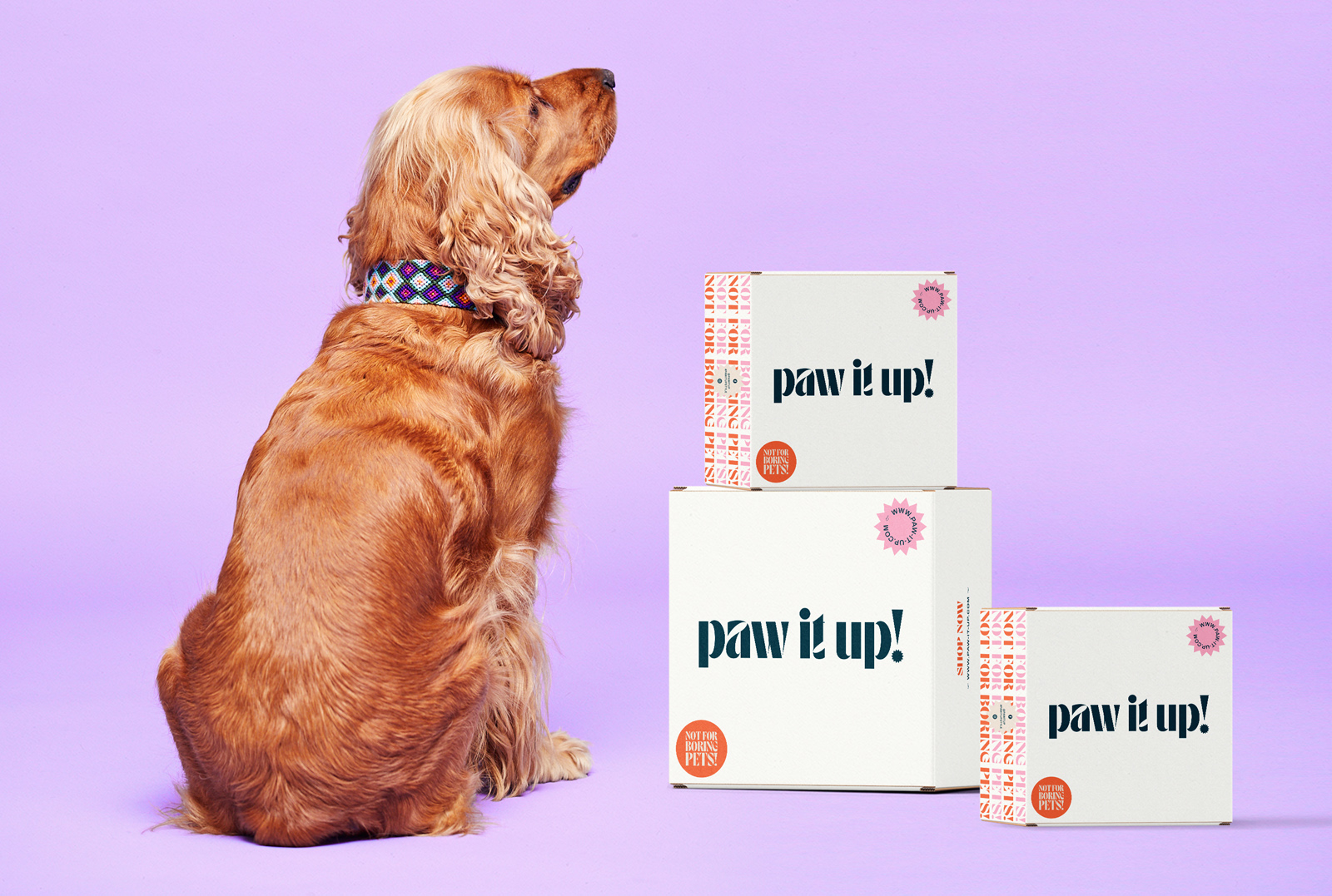 Paw It Up! Packaging