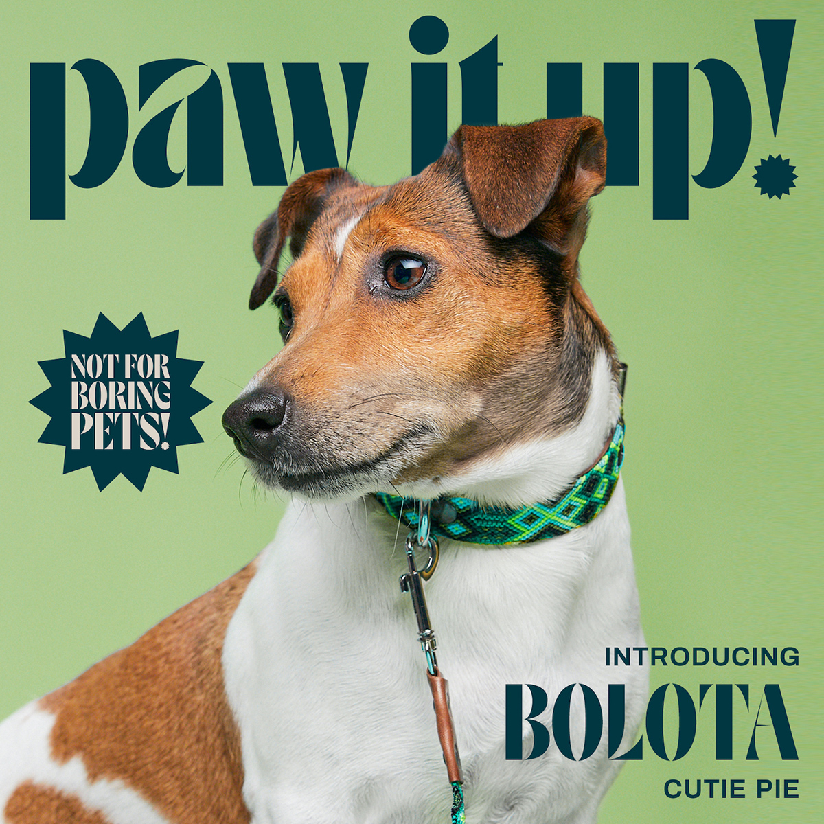 Paw It Up! Magazine Cover